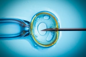 shutterstock_193564313-iVF