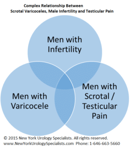 Complex relationship between scrotal varicoceles and testicular pain.