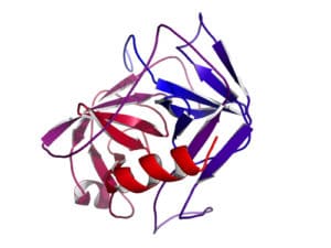 Prostate Specific antigen