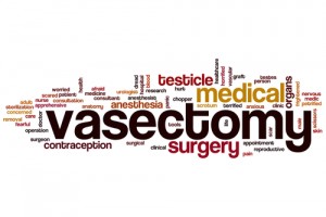 vasectomy